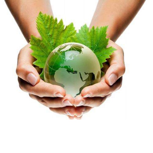 Hollanda, Temmuz 2021'den itibaren bazı tek kullanımlık plastik ürünleri yasaklayacak