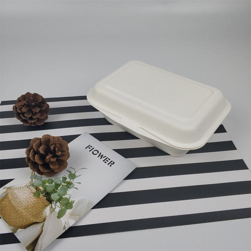 600-650ml Biyobozunur Tek Kullanımlık Şeker Kamışı Bagasse Öğle Yemeği Kutusu
