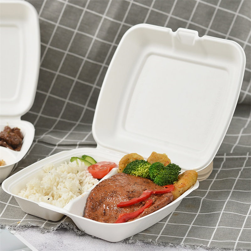 Bagasse 9 inç 2 bölmeli paket servis kutusu